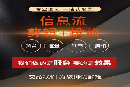 XX领域竞价广告的投放策略及效果展示